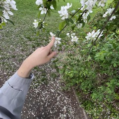sweet, makes me happy, it’s fun