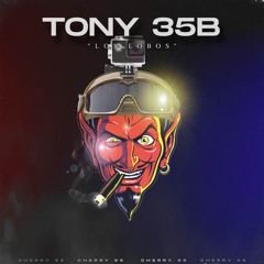 TONY 35B “LOS LOBOS”