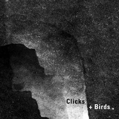 Clicks + Birds
