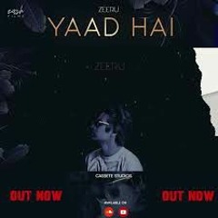 Yaad Hai by Zeeru (urdu rap song)