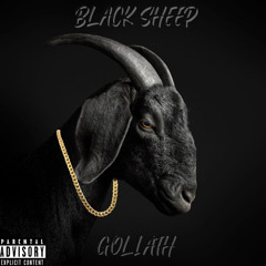 Black Sheep (Official Audio)