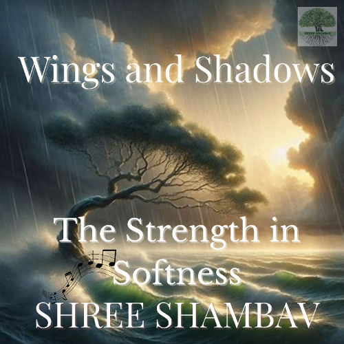 A11 - 02 - The Strength in Softness