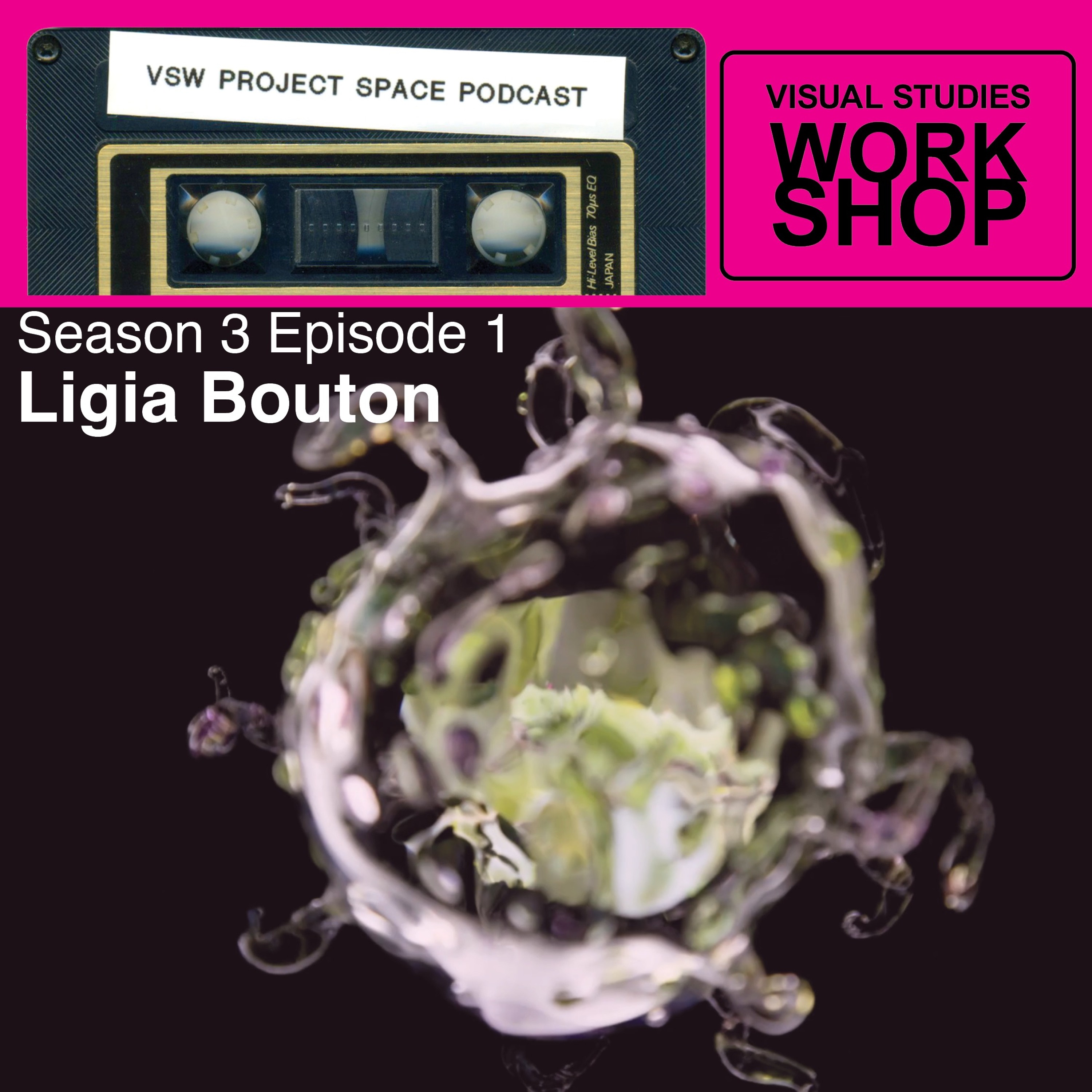 VSW Project Space Podcast