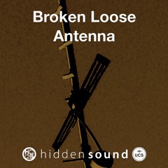 Broken Antenna Contact Mic Joined Montage