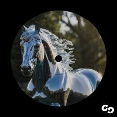 Dolphin 303 - Libera el Stress