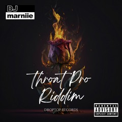Throat Pro Riddim Mix (Droptoprecords) (2024) || Mixed by @dj.marniie