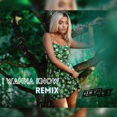 Deepest, AMHouse, Rudii - I Wanna Know (Andrew Dimas X Timmy Barg Remix)