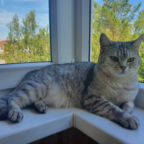 Timi Kullai & DJ Ramezz - Take It To The Limit(Centory & Turbo.B Cover Version).mp3