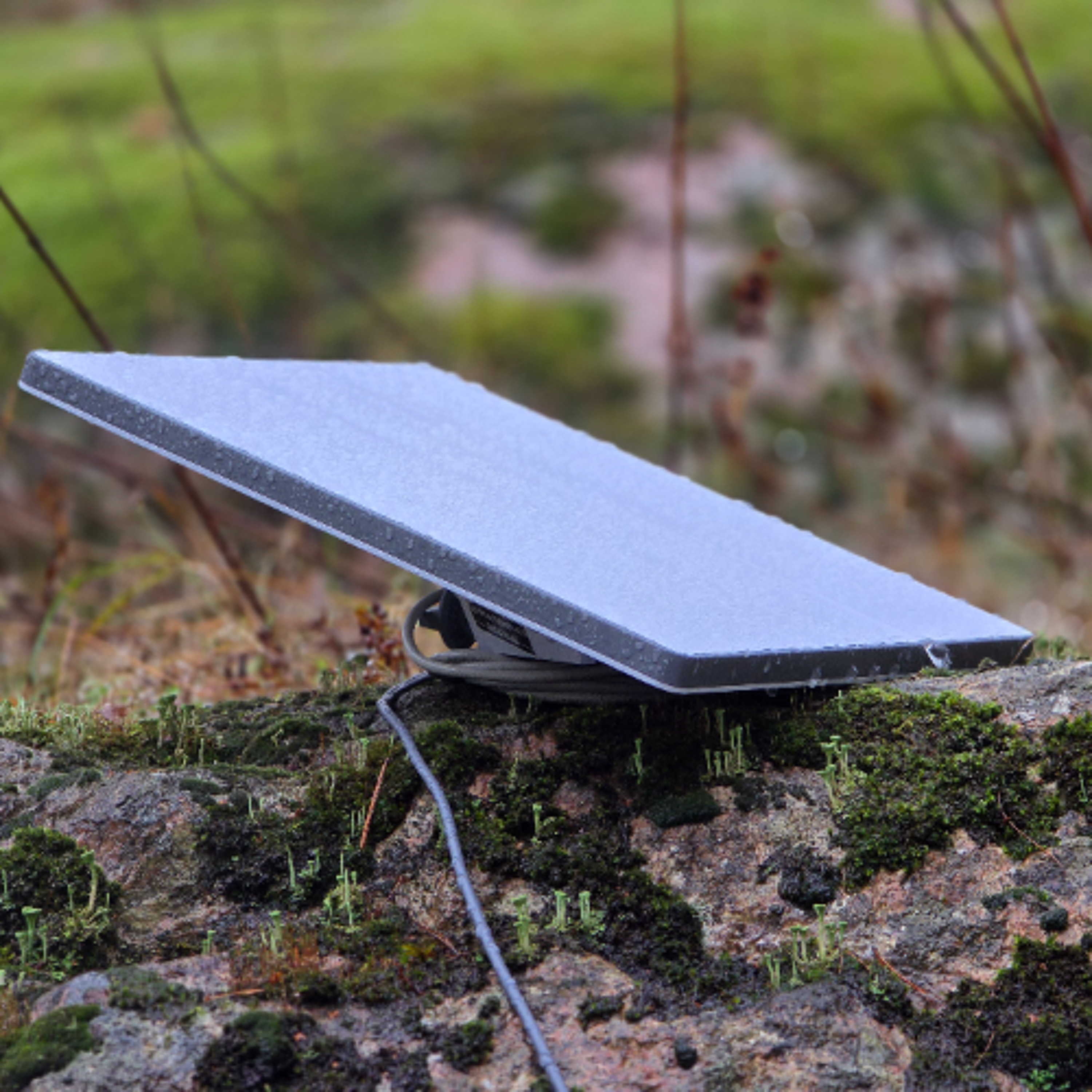 20.11.25 ST| Levira - eetris ja ühenduses: satelliitside võib kriisiolukorras päästa nii äri kui elu