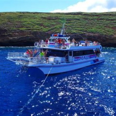 Review Special Price Molokini Snorkeling Adventure Aboard Calypso From Ma'Alaea Harbor