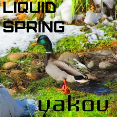 LIQUID SPRING