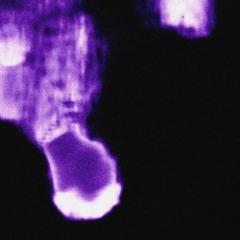 CONFUSiiON (infinity remix)