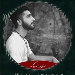 Boghz - Mohammad Amirir Remix.mp3