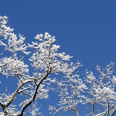 Sadness As A Gift (Adrianne Lenker cover)