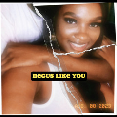 Negus Like You
