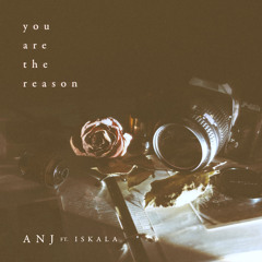 You Are The Reason (feat. Iskala)