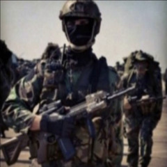 MARINE MANE - UKRAINIAN FORCES