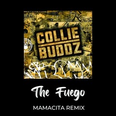 Collie Buddz - Mamacita (The Fuego Remix)