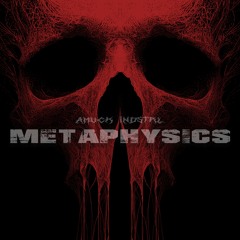 METAPHYSICS