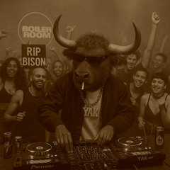 YAK Volume 2: Escape to the Discotheque (Mini Mix)