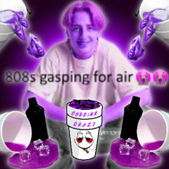 The 808 Song (CHOPPED NOT SLOPPY'D)