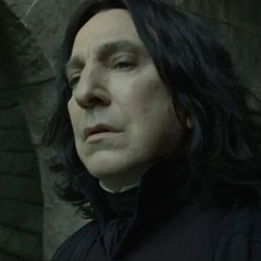 Professor Severus Snape Beat