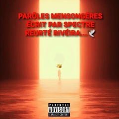 Parôles Mensongères (Rap Vie Cachée Français).wav