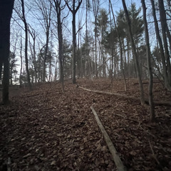 maybeee (prod. Klimlords x Bennykaay)