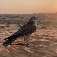 عامين و الحال من فرقاك 💔