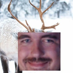 Vaft and Java - Robert The Lumpy Reindeer - Parody Cover Song