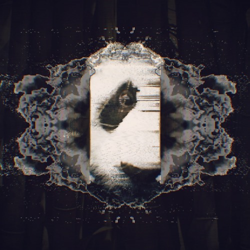 BOBBE - PANDA (Original Mix) (Free Download)