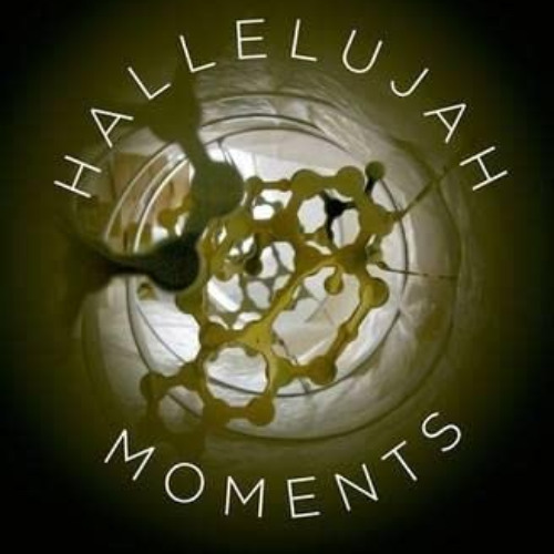 Access EPUB 🗸 Hallelujah Moments: Tales of Drug Discovery by  Eugene H. Cordes EPUB