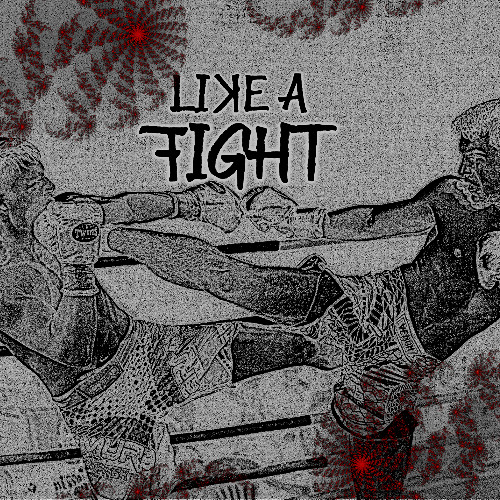 LIKE A FIGHT - PAUL HAMMERSCHMIDT