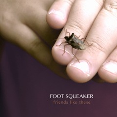 Foot Squeaker - Friends Like These