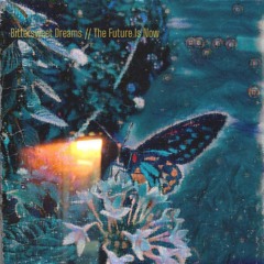 Visions In A Junkyard