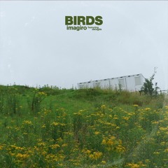 imagiro - Birds ft. Delayde