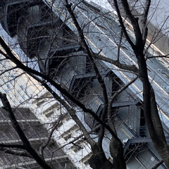 Not/Anymore Prod Grey Tertel