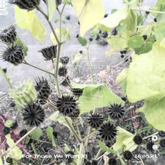 For Those We Trust #1 15/05/21