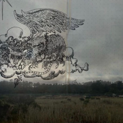 100 mil vientos (saiko cover)