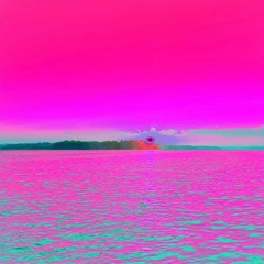 panotune ~ 2017 (texxacoshawty exclusive)
