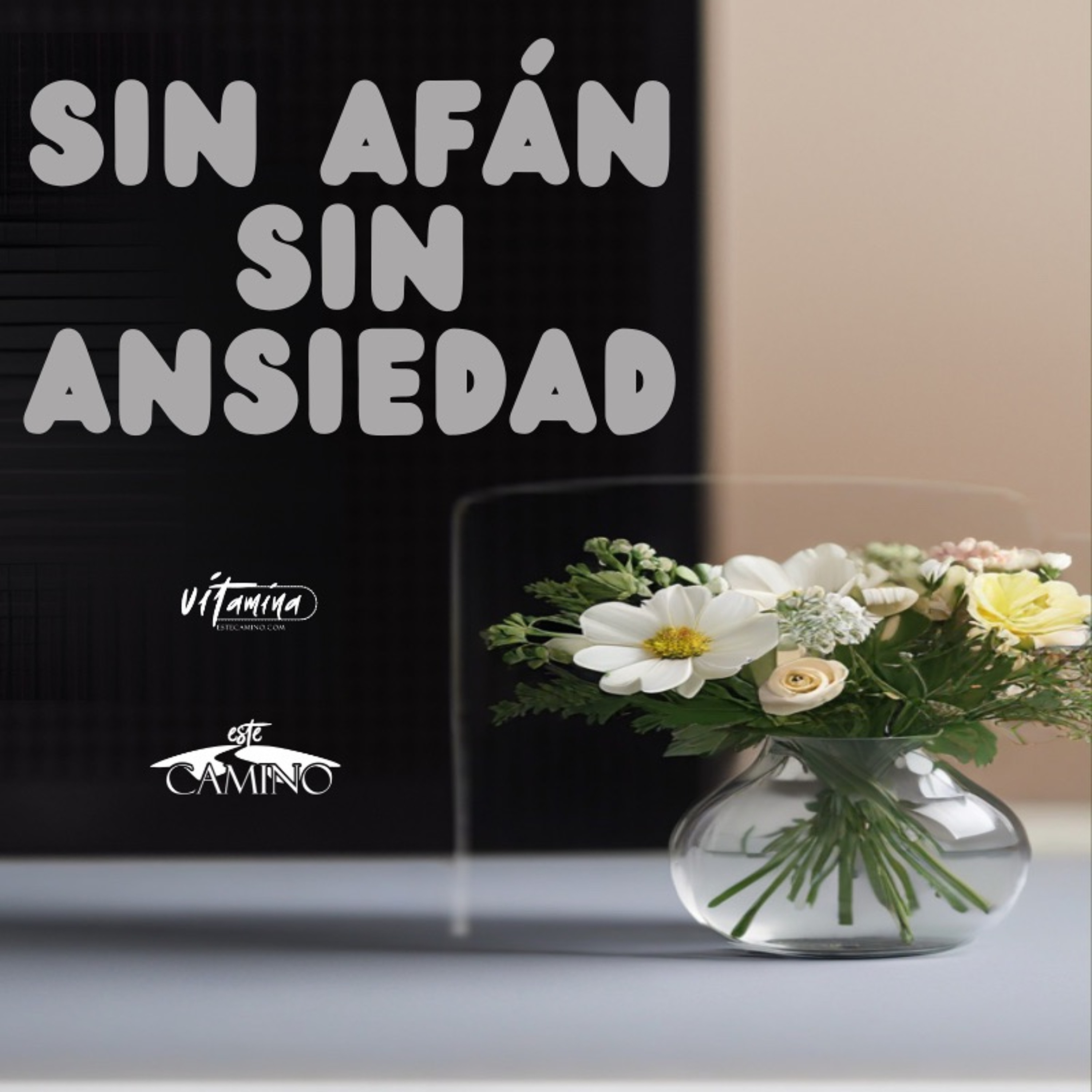 Sin afán sin ansiedad, Carmen Gloria episode artwork