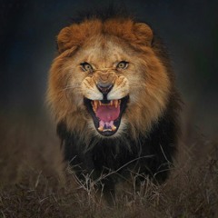 SETS VOLUME 3 MIX COACH MIKE EDITION