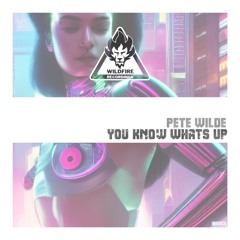 [WR043] Pete Wilde- You Know What's Up