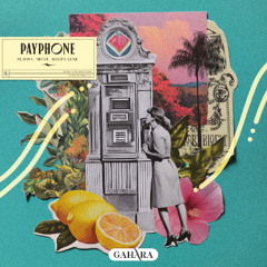 Flauna + rivve & Booty Leak - Payphone [ FREE DOWNLOAD ]