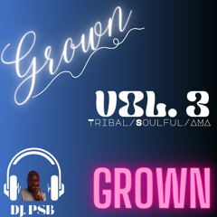 Grown Vol 3 mixed by PSB