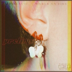 world on fire