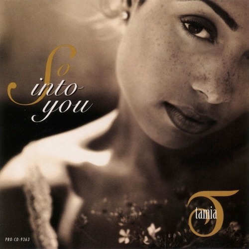 Tamia - So Into You (Desi Flip)