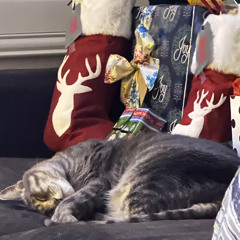 noel tre con - Lee (prod. Baoright)