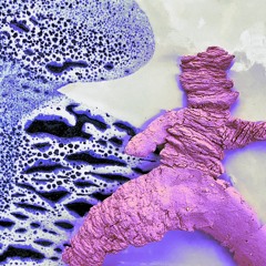 SONAO - DIZNAMOTA (Live extrackt mastered by @Prodby_Oggy)