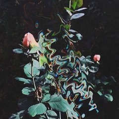 a lxt xf shit (prxdby.xnx)